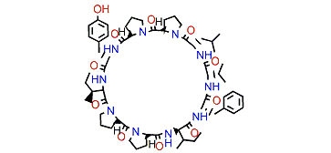 Phakellistatin 8